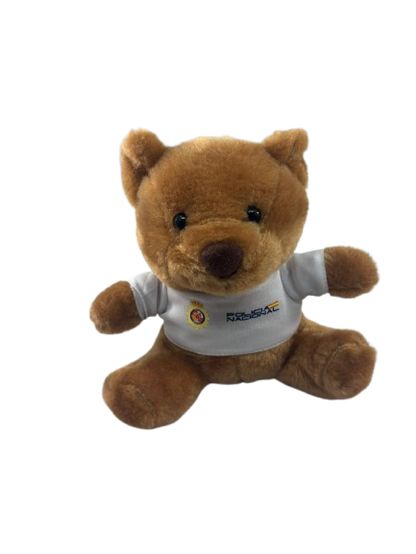 Oso Peluche Personalizable
